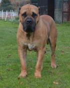 Obrázek k inzerátu